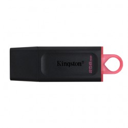 Memoria USB Kingston Exodia 256 Gb DTX/256