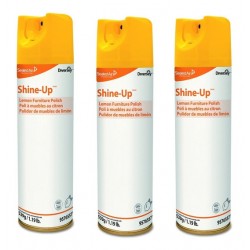 LIMPIADOR DE MUEBLES SHINE UP 425 GMS 1/1 50029