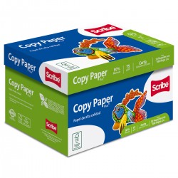 Caja de Papel Scribe Copy Paper Carta Blanco 75 gr 10/500 Hojas c/u 60383
