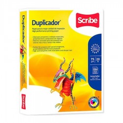 Caja de Papel Scribe Duplicador Carta Blanco 75 gr 10/500 Hojas c/u 60381