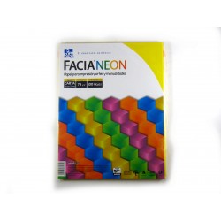 Hojas de Color Facia Neon 250 Hojas Carta 5 Colores Neón 75 gr 1/250 65300