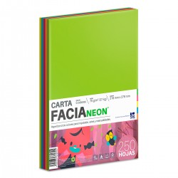 Hojas de Color Facia Neon 250 Hojas Carta 5 Colores Neón 75 gr 1/250 65300