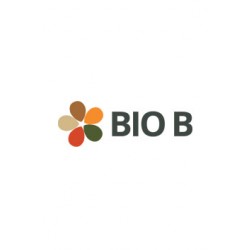 Bio B Probioticos 75 billones