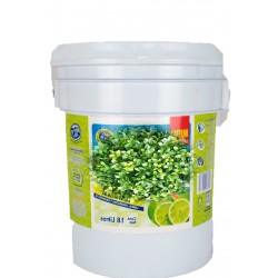 AROMATIZANTE LIMON CUBETA 18LTS 1/1  73418