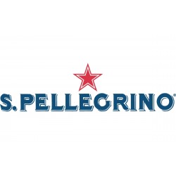 AGUA MINERAL S. PELLEGRINO 24/250 ML 1/24