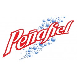 AGUA MINERAL PEÑAFIEL 24/296 ML 630353