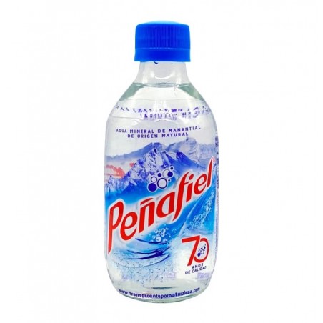 AGUA MINERAL PEÑAFIEL 24/296 ML 630353