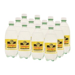 AGUA MINERAL TOPO CHICO 12/ 600 ML 630355