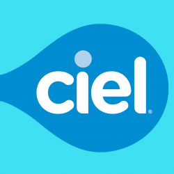 AGUA MINERAL CIEL 8/235 ML 630361